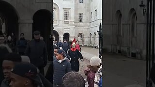 watch the guard shout make tourist's move #thekingsguard