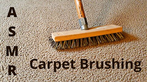 Aggressive Carpet Brushing | No Talking ~ ASMR ~