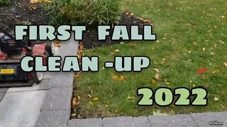 FIRST Fall Clean Up of 2022