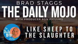 LIVE: Like Sheep to the Slaughter - The Daily Mojo
