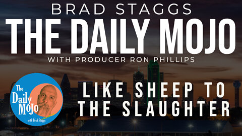 LIVE: Like Sheep to the Slaughter - The Daily Mojo