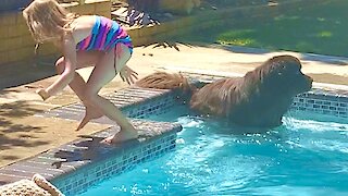 Overhyped Newfoundland scares girls out of the pool