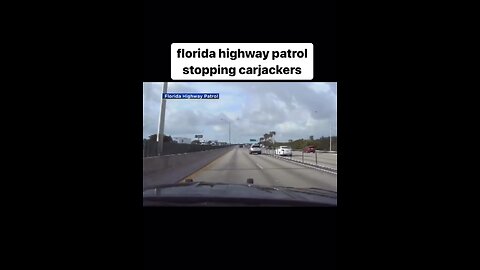 FHP STOPPING CAR JACKERS