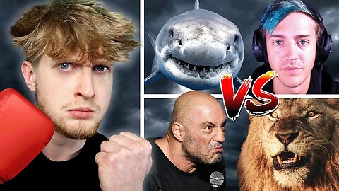 Animal Kingdom Boxing Tournament | WHO WILL WIN???