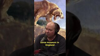 Lost Saber-Toothed Tiger Skull - A Tale of Lost History | Joe Rogan Experience #JRE #1918