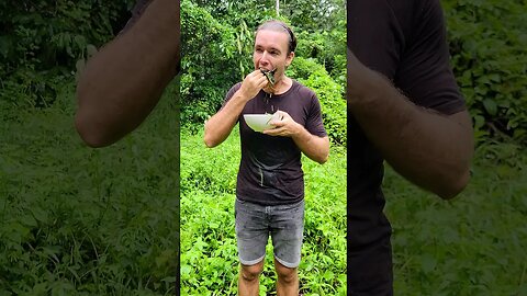 What Vegans Eat in Nature #shorts