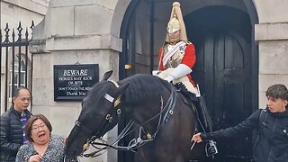 She almost went flying a trip she will never forget 😆 🤣 😆 🤣 #horseguardsparade