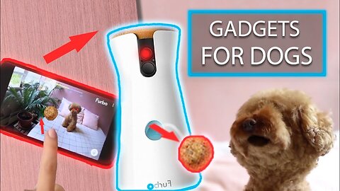 10 COOLEST Amazon GADGETS for DOGS That Are Worth Buying