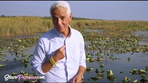 Charlie Crist Corruption Exposed in 'The Slave Princess' Documentary