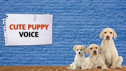 Cute Puppy Voice 🐶 | Doggy voice 🐕🦴 😂