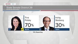 Tina Polsky wins Democratic race for Senate District 29