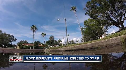 Flood insurance premiums expected to go up