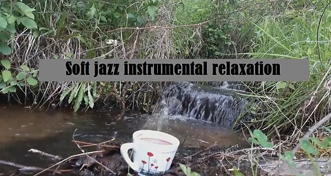 Soft jazz and bossa nova instrumental relaxation with nature sounds