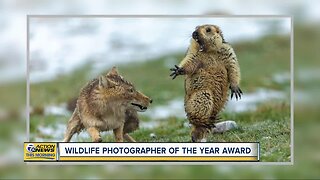 Check out the photo that won Wildlife Photographer of the Year Award