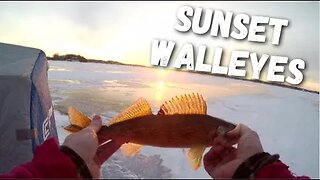 First Ice Walleyes | Lake Waubesa Sunset Walleyes