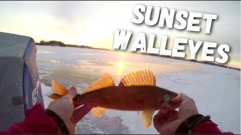 First Ice Walleyes | Lake Waubesa Sunset Walleyes