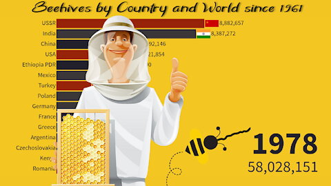 🐝 Beehives by Country and World since 1961