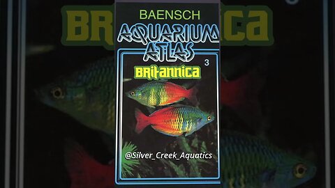 The Best Book on Fish Keeping (5 Actually)!