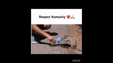 respect 3