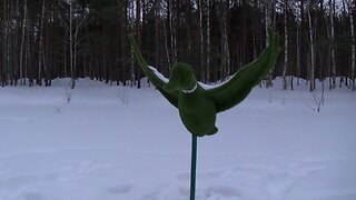 Duck Figures On A Frozen Pond