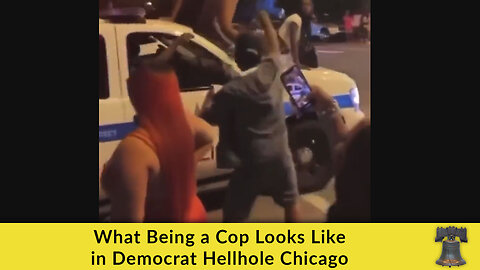 What Being a Cop Looks Like in Democrat Hellhole Chicago