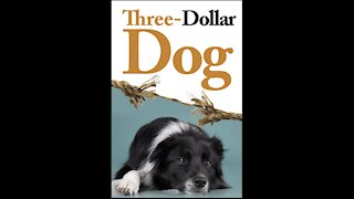 Three Dollar Dog