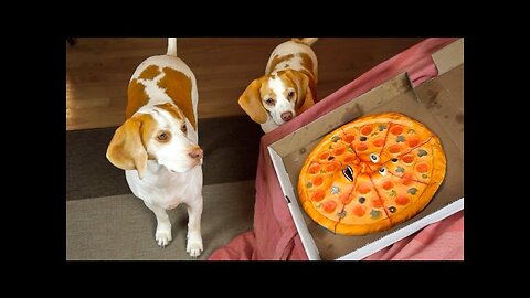 Dogs vs. Talking Pizza Prank: Funny Dogs Maymo & Penny