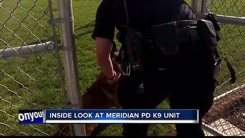 Meridian K9 VOSOT