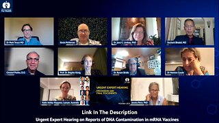 Expert Panel Discussion and Final Statements on Plasmid DNA Contamination in mRNA Vaccines