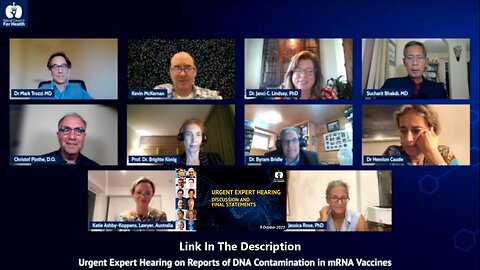 Expert Panel Discussion and Final Statements on Plasmid DNA Contamination in mRNA Vaccines