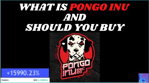 What is Pongo Inu and should you buy, 100x potential