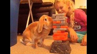 Bunny rabbit plays Jenga with little girl
