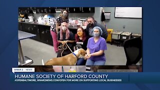 Importance of spaying/neutering from Humane Society of Harford County