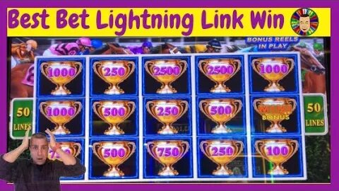 💥Best Bet-Lightning Link Win💥