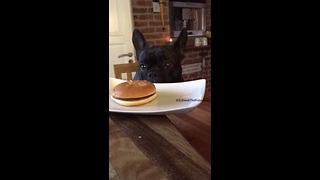 Smart Frenchie chooses healthy dish over fast food