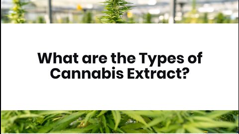 What are the Types of Cannabis Extract?