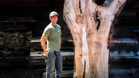 Blaise in Trees | Buying Hardwood Lumber #2