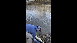 Big Musky Release (SHORT)