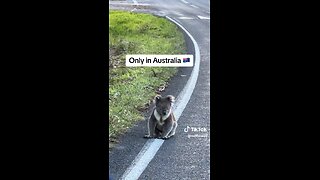 Only in Australia 😮❤️