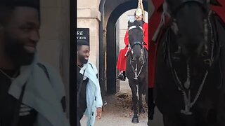 Tourist gets more than a photo horse's bites #horseguardsparade