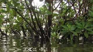 Flooding already happening in Palm Beach County