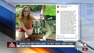 TV celebrity visits "Shy Wolf Sanctuary"