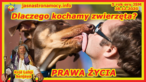 Dlaczego kochamy zwierzęta PRAWA ŻYCIA