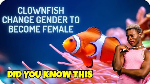 CLOWNFISH ARE TRANSGENDERS, SO IT IS OKAY TO BE GAY? GOD CREATED THIS FISH