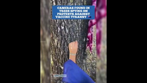 CAMERAS FOUND IN TREES SPYING ON PROTESTS AGAINST VACCINE TYRANNY 🇭🇲👀