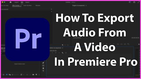How To Export Audio From A Video In Premiere Pro - MP3 AAC WAV