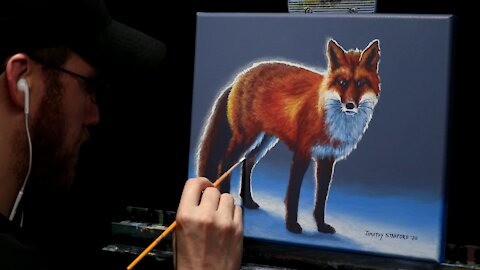 Acrylic Wildlife Painting of a Red Fox in Snow - Time-lapse - Artist Timothy Stanford