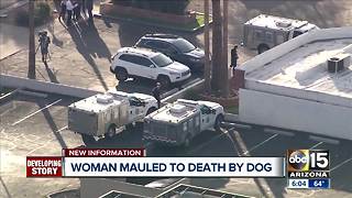 Woman mauled by dog at Phoenix boarding facility