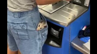 Man goes to supermarket with his opossum in Texas