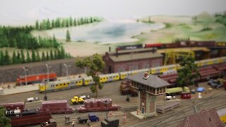 SOUTH AFRICA- Durban- Model train collectors (cwx)